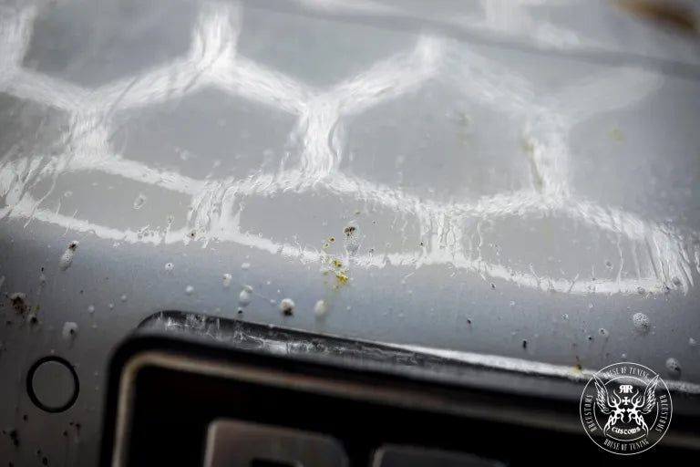 Bug Remover - Insektenentferner